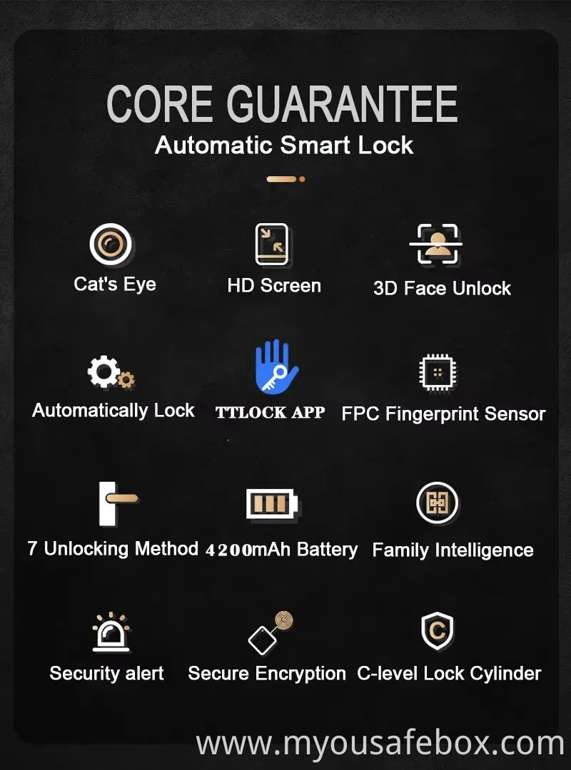 Lock Manufacturer WiFi Digital Card Security Safe Electronic Fingerprint Remote Control Smart Door Lock with Camera and Audio